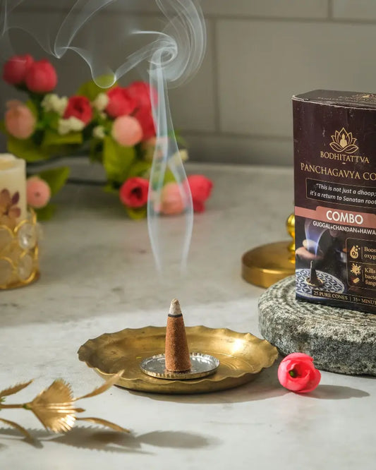 Panchagavya Cones – Combo Pack (Pack of 6)