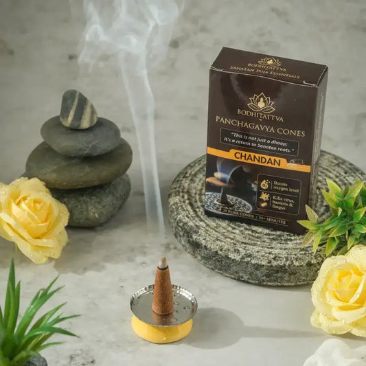 Panchagavya Cones – Chandan (Pack of 6)